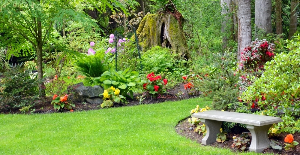 amendamente-biostimulatori